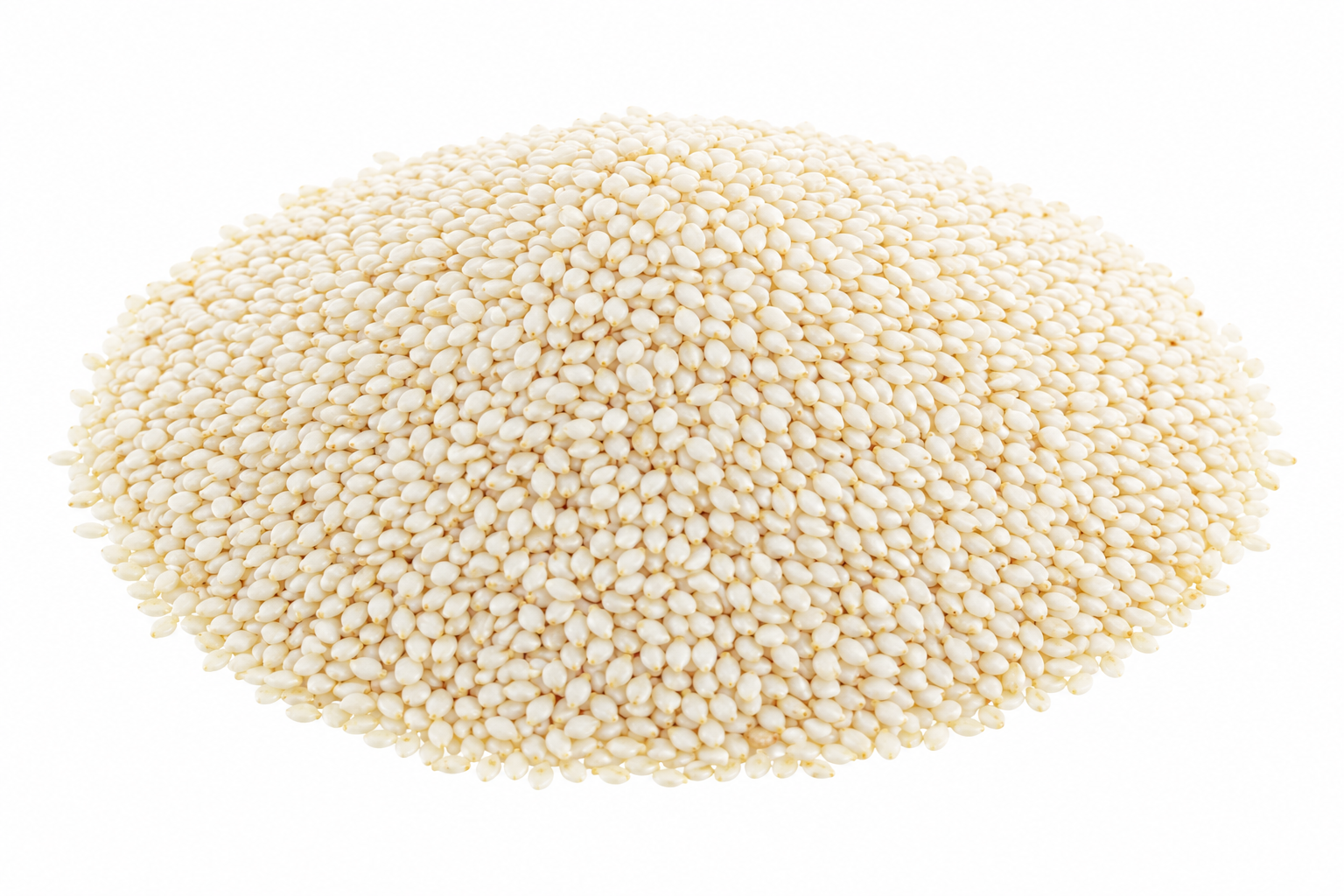 Sesame Seeds 1